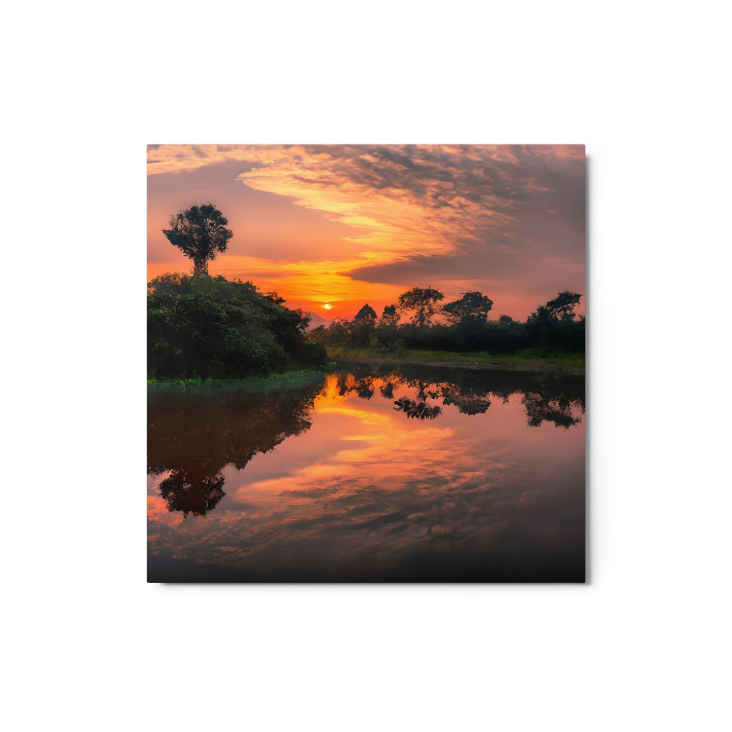 Jungle Trails #2 Metal Prints