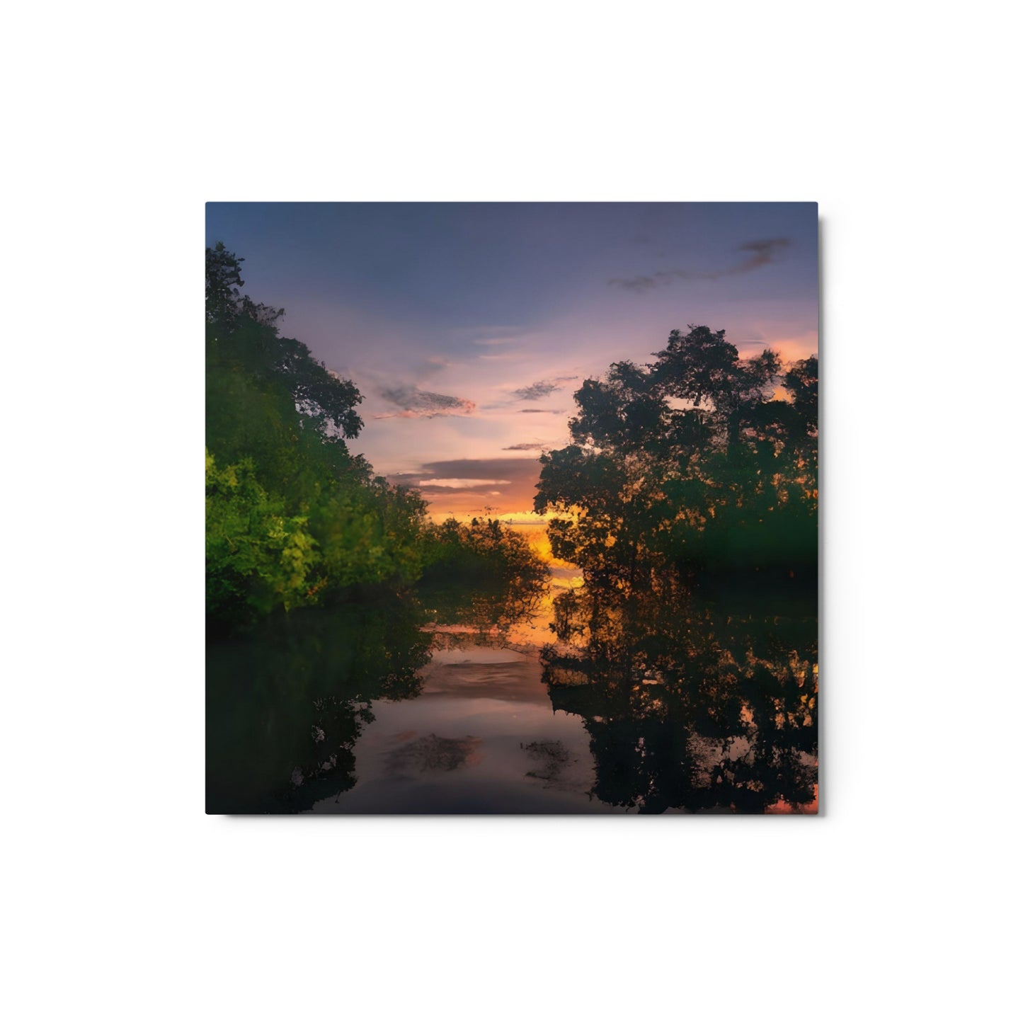 Realm of Mangroves #2 Metal prints
