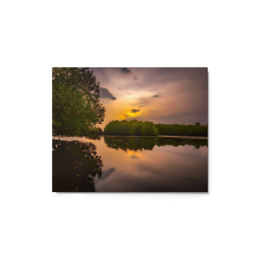 Realm of Mangroves #6 Metal prints