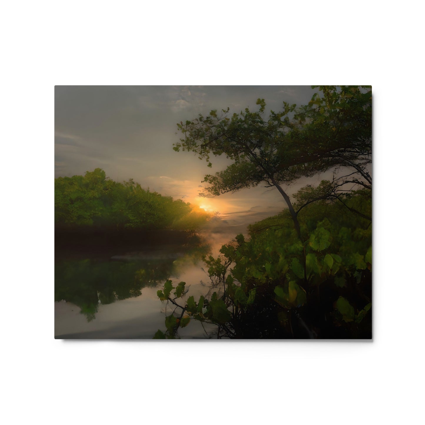 Realm of Mangroves #4 Metal prints