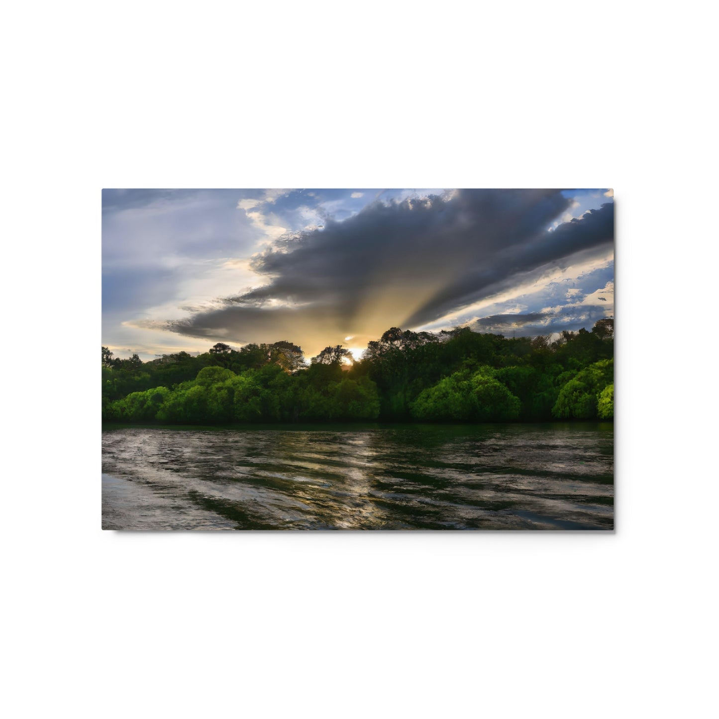 Realm of Mangroves #1 Metal prints