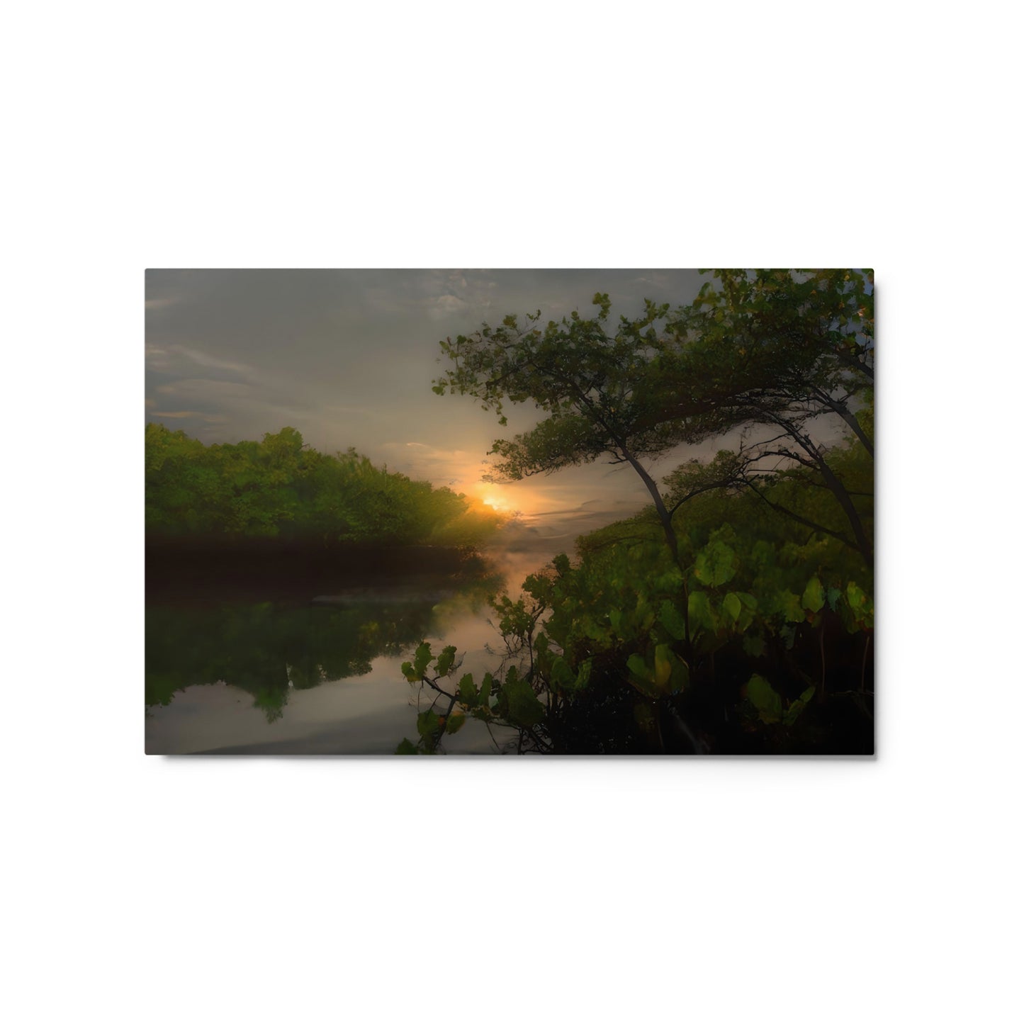 Realm of Mangroves #4 Metal prints