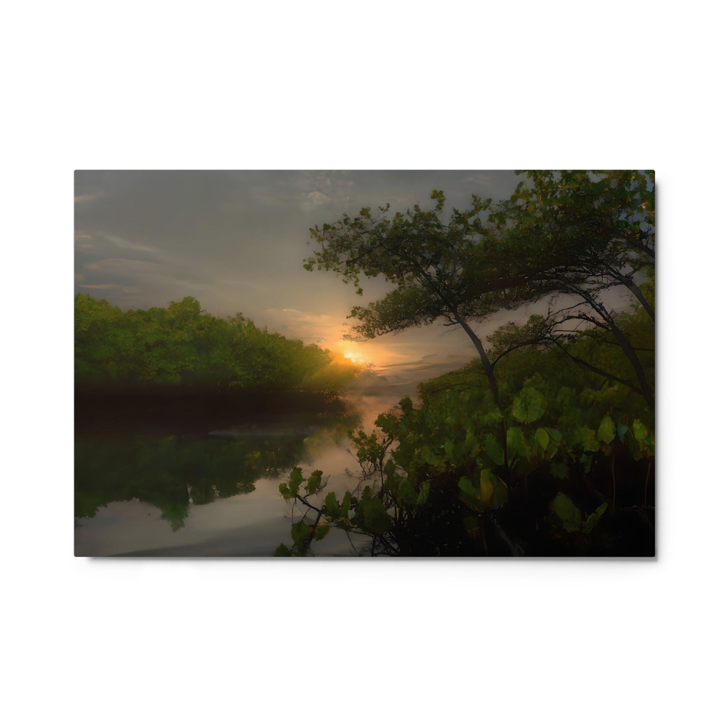 Realm of Mangroves #4 Metal prints