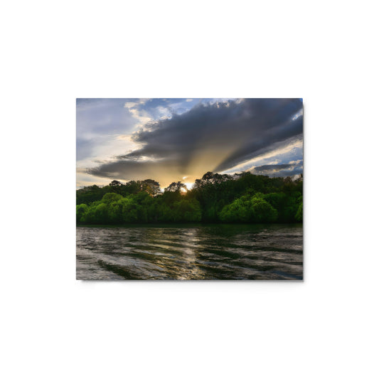 Realm of Mangroves #1 Metal prints