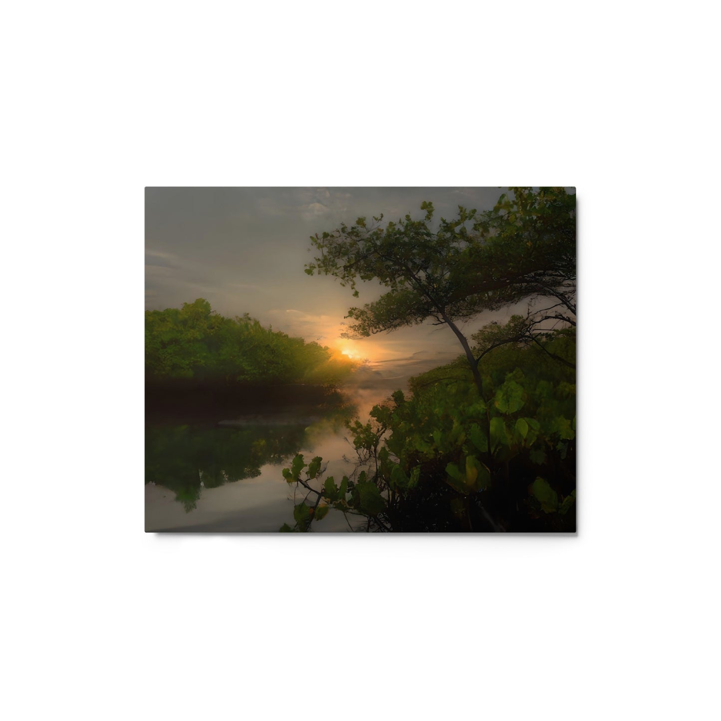 Realm of Mangroves #4 Metal prints